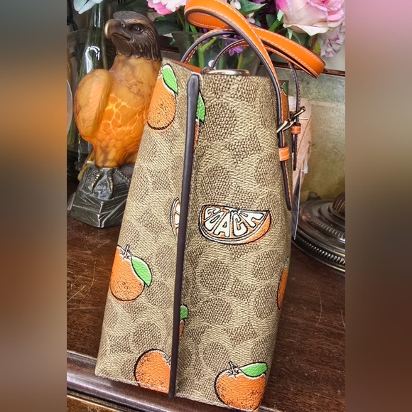 Coach Orange Patterned Women\'s Bag